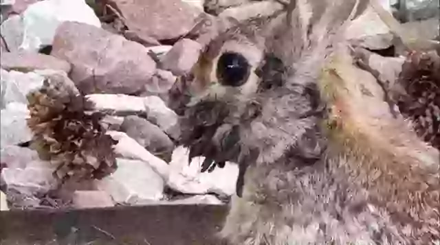 FOTO: Reddit