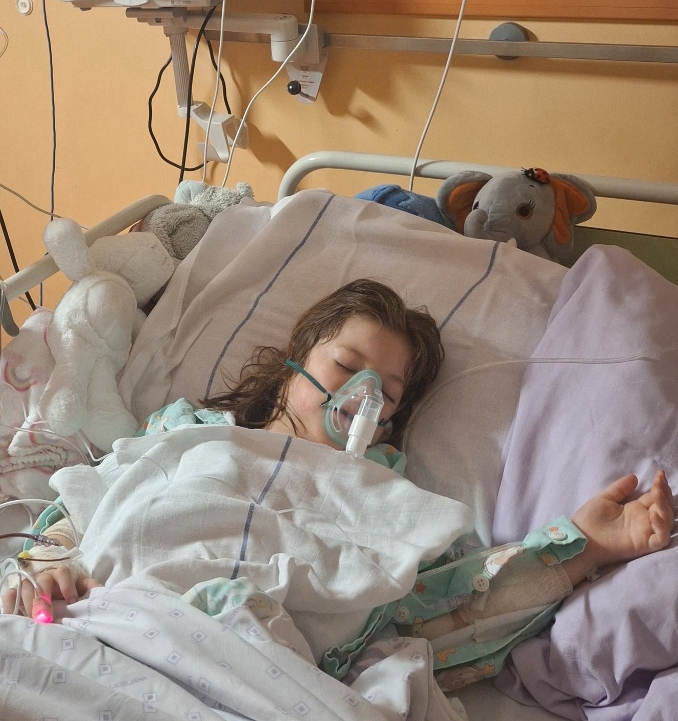 FOTO: Facebook | Društvo Viljem Julijan