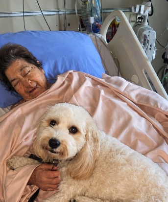 FOTO: Zachary's Paws For Healing